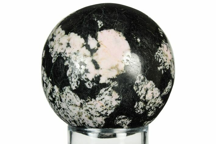 Polished Snowflake Stone Sphere - Pakistan #237784